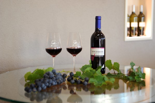 Wine Tasting with Festive Catering