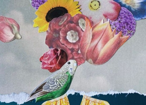Collage Workshop for Adults