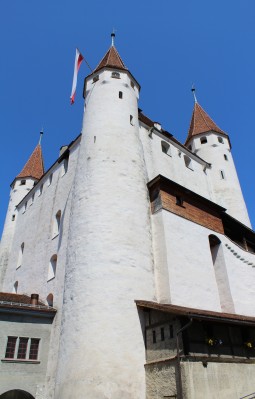 Public Tour of the Special Exhibition
