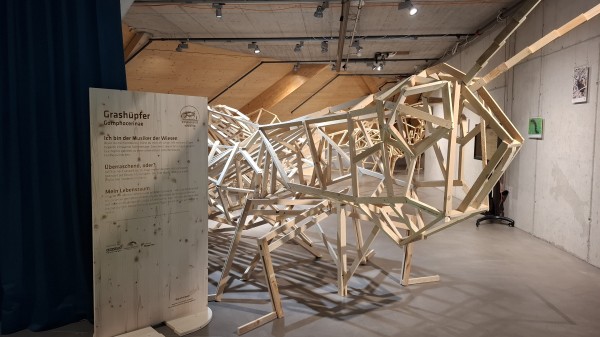 Special Exhibition "Giant Wonder World of Insects"