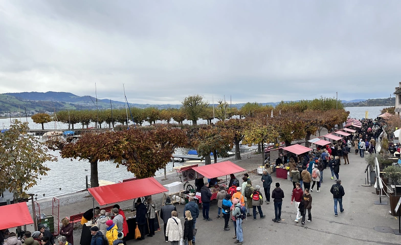 cheese-festival Rapperswil