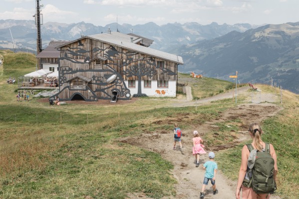 Visit to the Rinderberg ski lifts with picnic