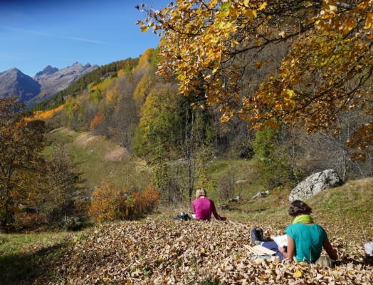 Autumn Colors Watercolor Workshops