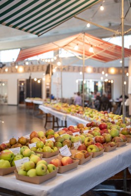 Apple Day