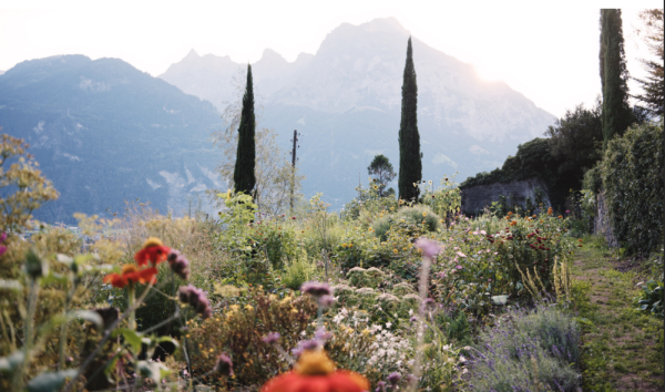 GARTENWELT: The Wild Bees of the Monastery Garden