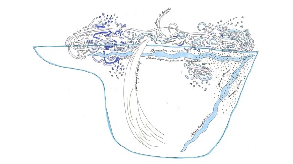 Les respirations du Léman en chansons