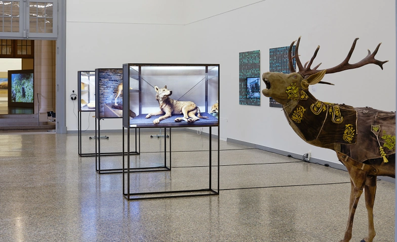 Luzia Hürzeler & Guests – What Nature Shows