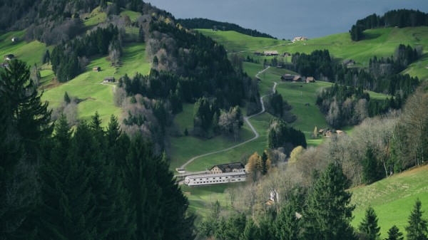 Portrait of a Swiss Company. A Photo Series by Barbara Davatz