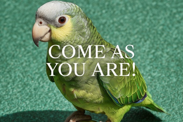Come as you are! X JIMBA