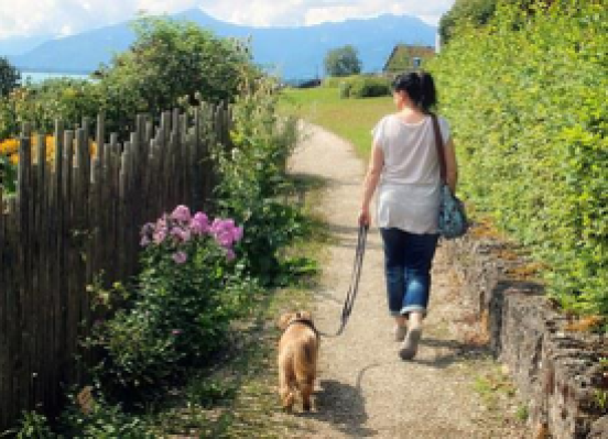 Stay Active Despite Rheumatism - For Better Quality of Life