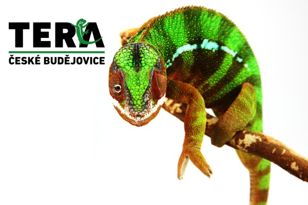 TERA České Budějovice