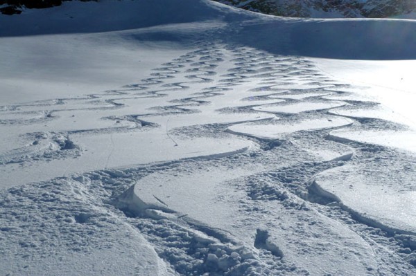 Beginner Ski Tour with Rätikon Sport