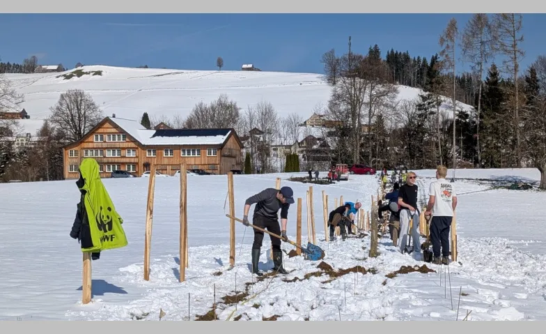 Natur verbindet – Pflanzung in Waldstatt