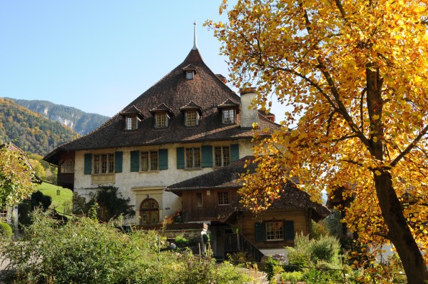 Herbstfenster - Open Cafeteria
