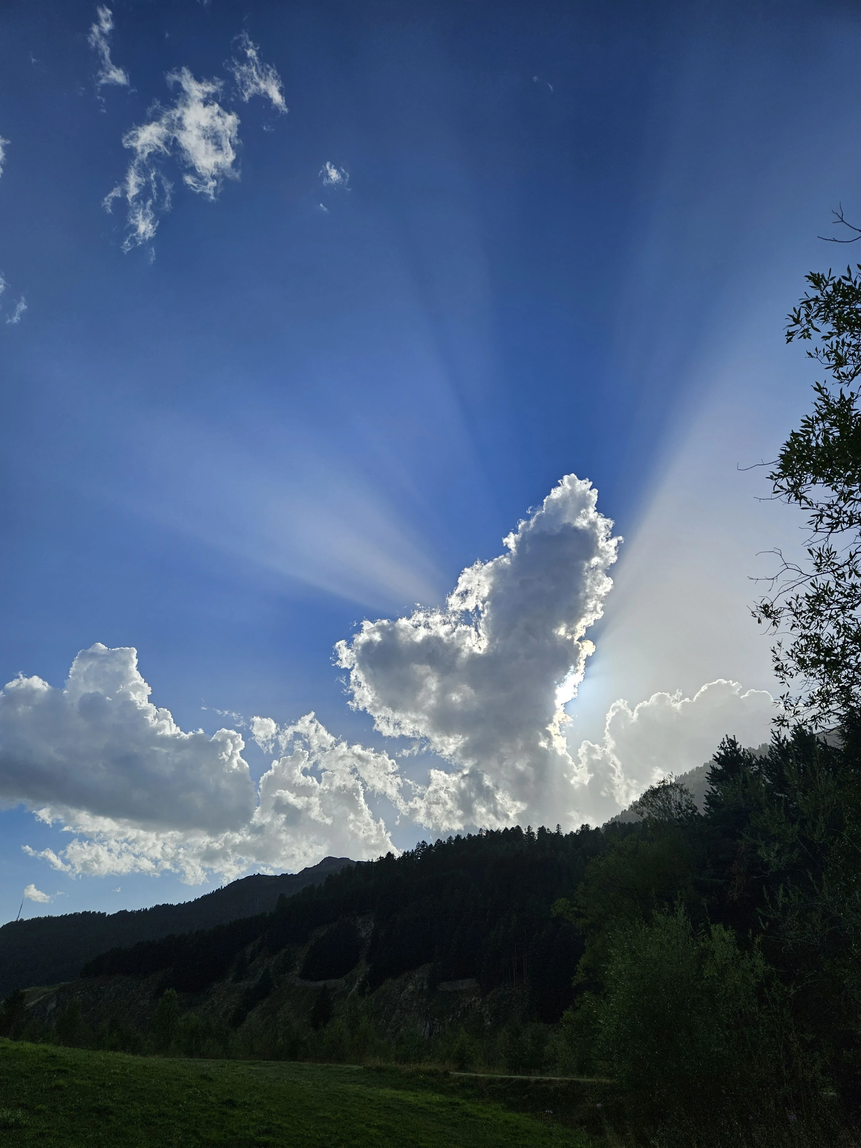 Meditación Vespertina Samedan
