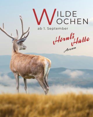 Wild Weeks at Hörnli
