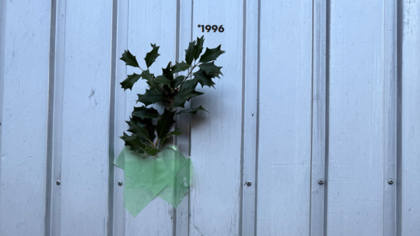 30 ans de domizil