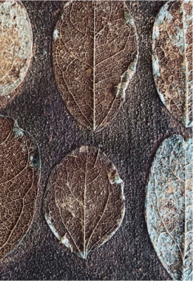 Exposition "Transitus - Transitions"