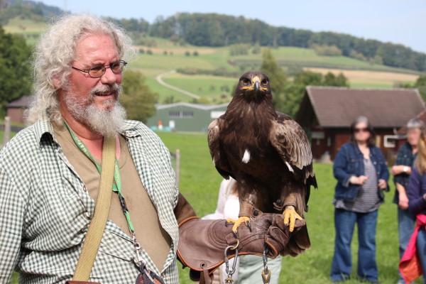 NATURENA: Fascination of Raptors