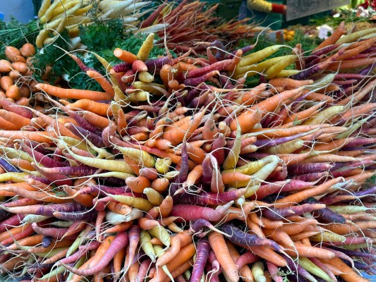 Aarauer Highlights at the Carrot Fair Day