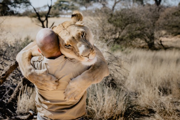 Löwenland - Life with Sirga in Botswana