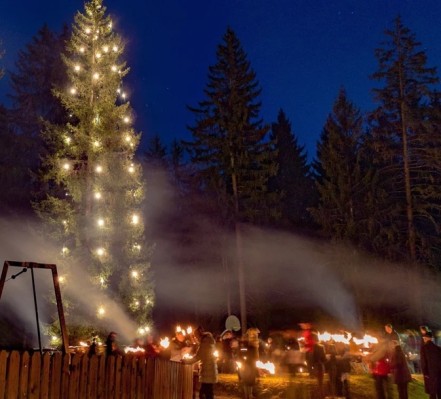 Forest Christmas at the Flims Waldhaus Playground
