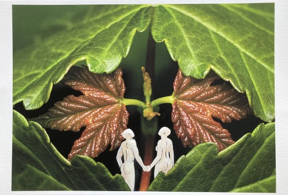EXPOSITION DE PHOTOS ET DE PEINTURES « AU CŒUR DE NOS ARBRES »