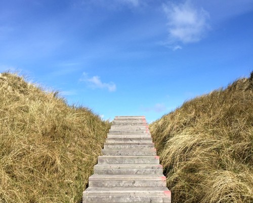 Excursions through Biblical Imagery – The Parables