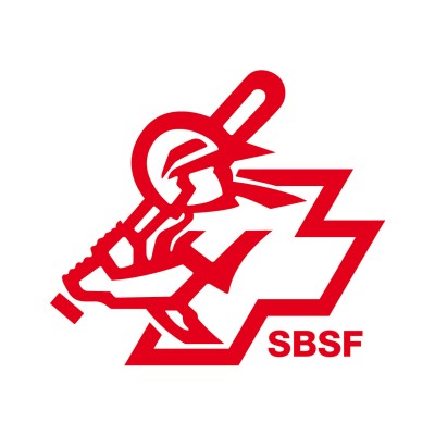 Softball Mixed: Sierre Beavers—Therwil Flyers
