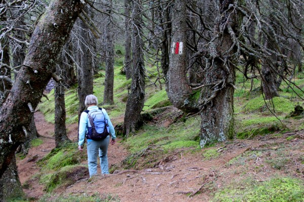 360° Biosphere, 9th Stage: Glaubenberg - Finsterwald