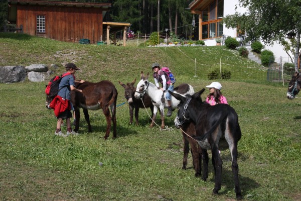 Donkey Trekking