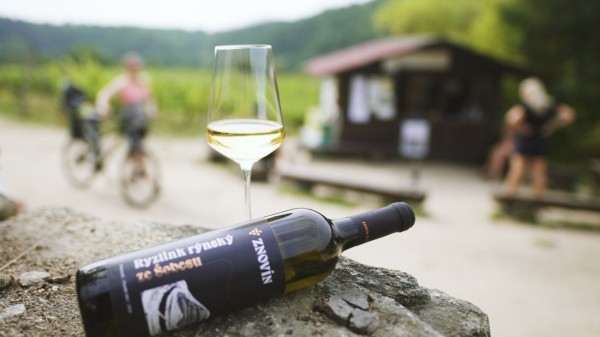 Tasting Stand of Znovín at Šobes Vineyard