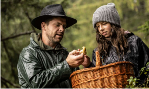 Exclusive Forest Day - Experience Mushrooms & Forest