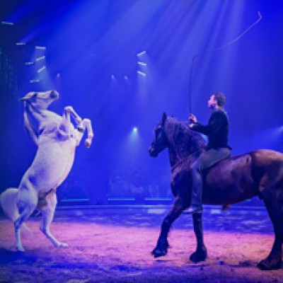 Swiss Equestrian Night im Circus Knie