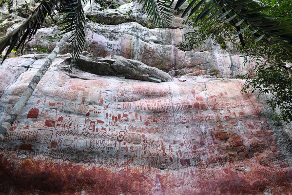 The Legacy of the Amazon