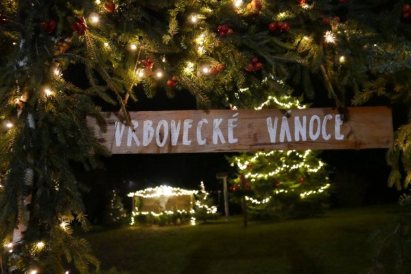 Tree Lighting in Vrbovec