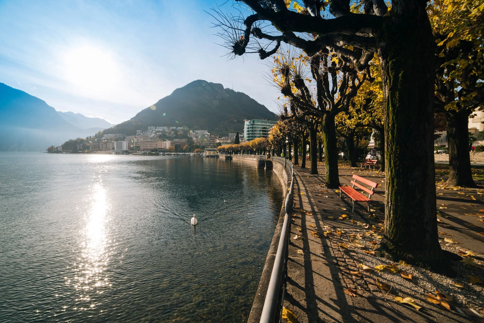 Autumn Vibes – Guided City Tour (Free)