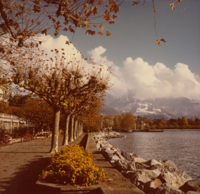 A Dock Named Perdonnet
