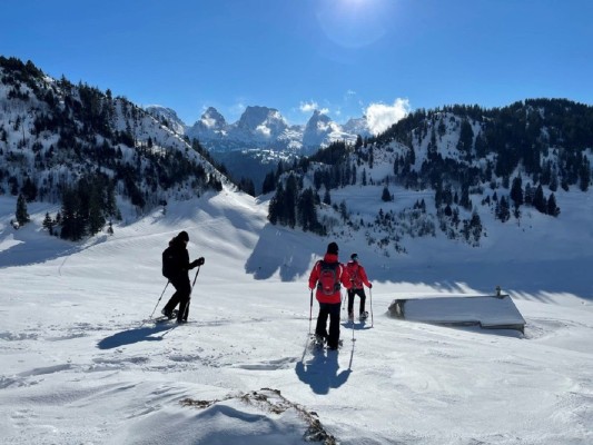 Halbtages-Schneeschuhwanderung Toggenburg