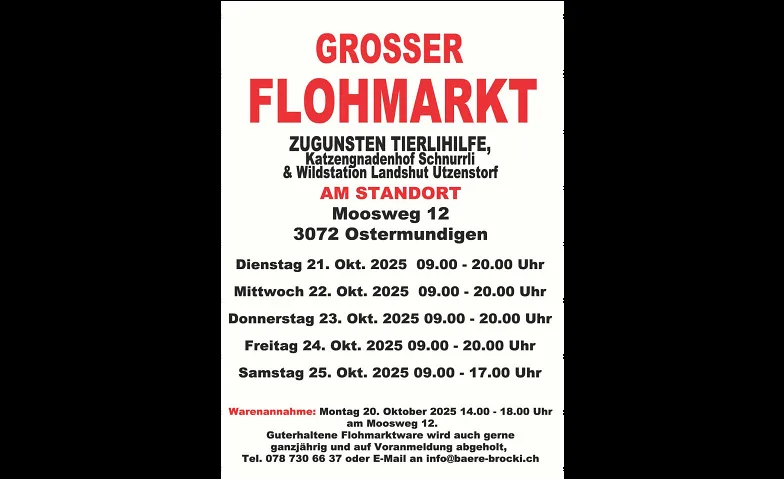 Großer Flohmarkt zugunsten Tierhilfe