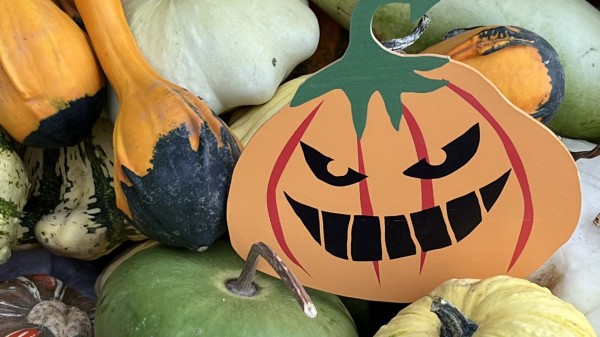 Autumn Lights, a "Halloween Spirit" Workshop