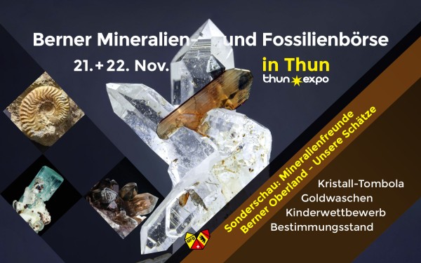 Bern Mineral and Fossil Fair in Thun