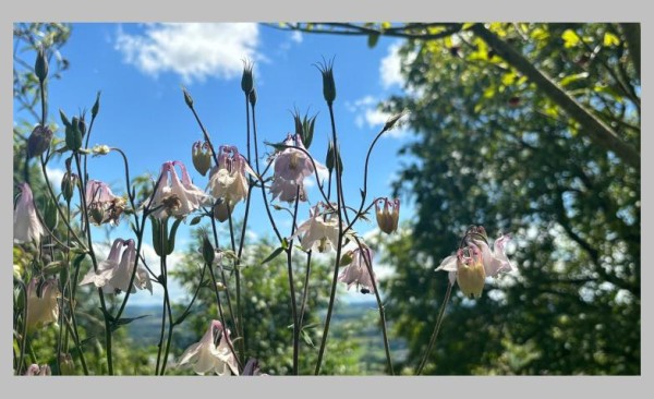 Eigene Sprachbilder und Metaphern schaffen
