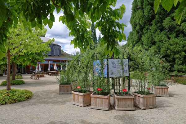 Exposition de paniers au Arboretum