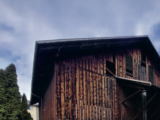 Exposition "Art contemporain et patrimoine culturel local de Val Schons"