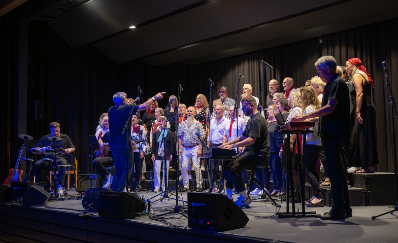 Gipsy Singers – Back in Town