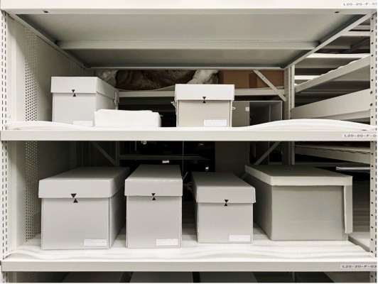 Ancêtres en collections? Regards croisés entre enjeux scientifiques et responsabilités contemporaines