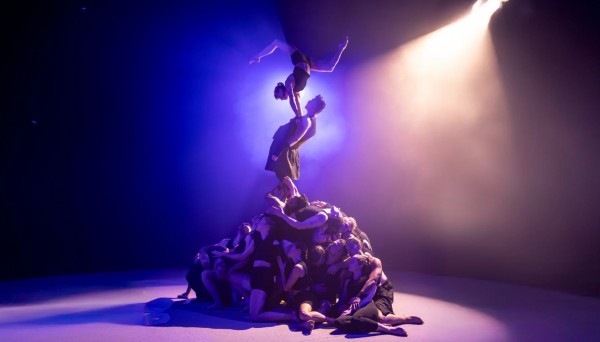 Copenhagen Collective: «the genesis»
