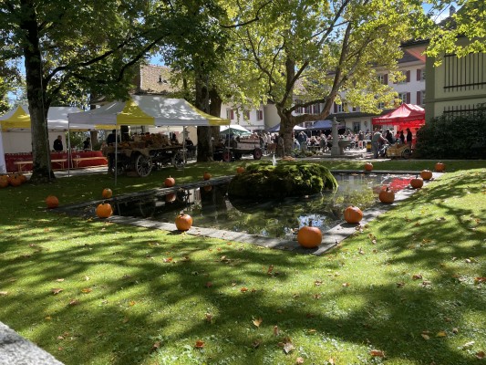 Gerzensee Pumpkin Market