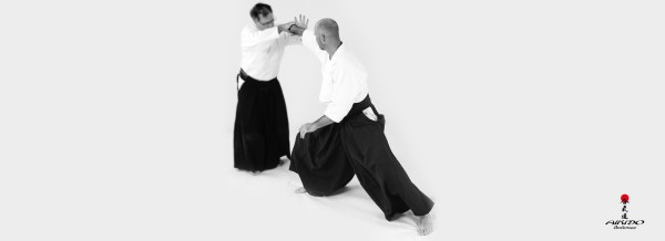 Aikido for Adults